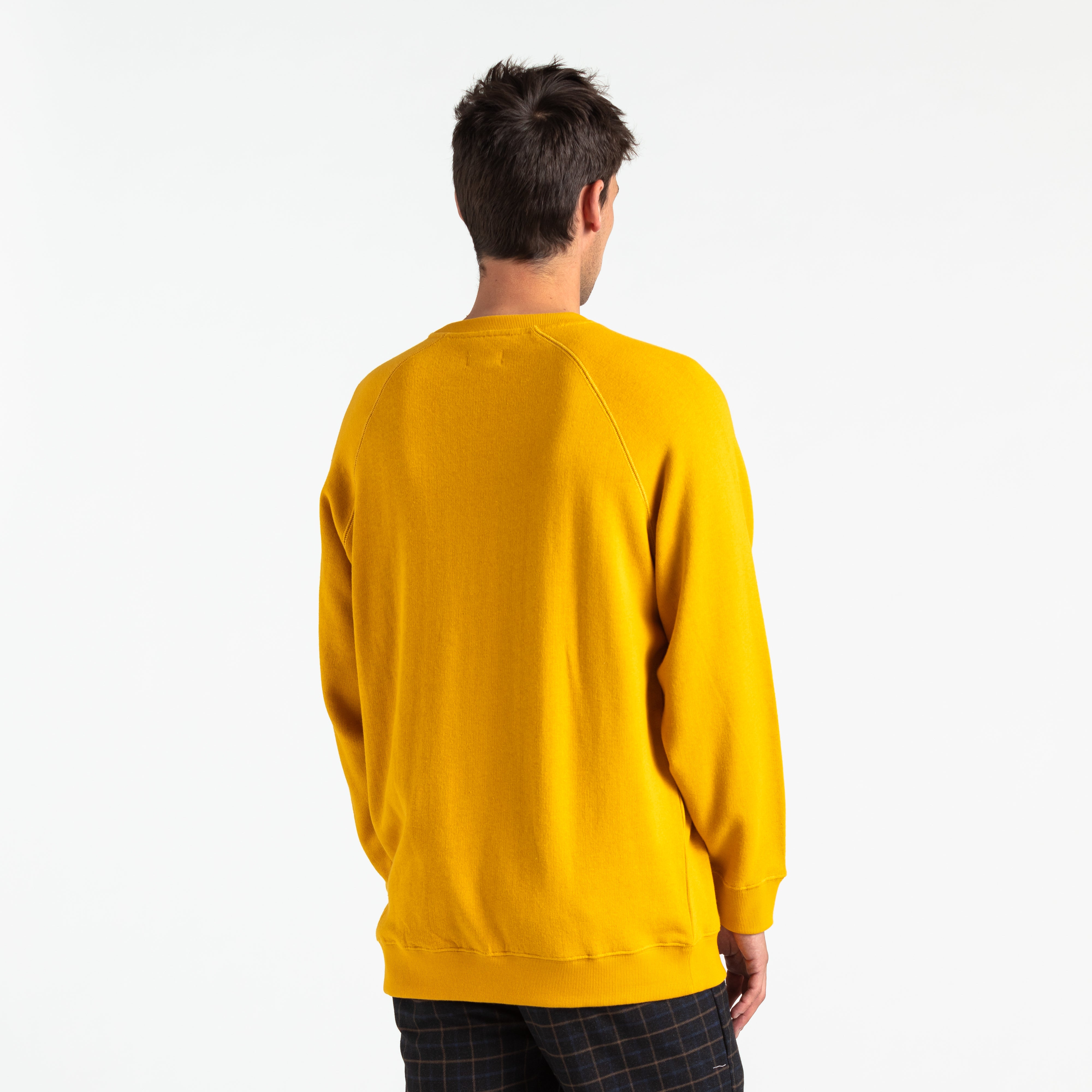 Solar Transseasonal Fleece